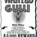Wanted_Gulli